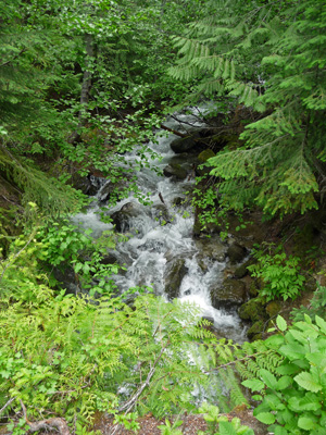 Silver Falls cascade