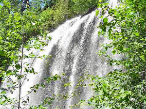 Silver Falls from the Silver Falls Trail WA