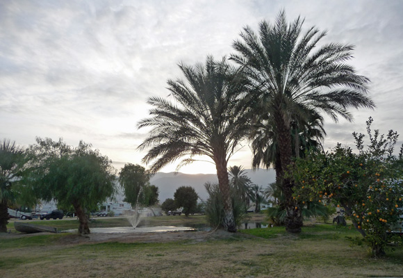 Pond at Oasis Palms RV Park CA