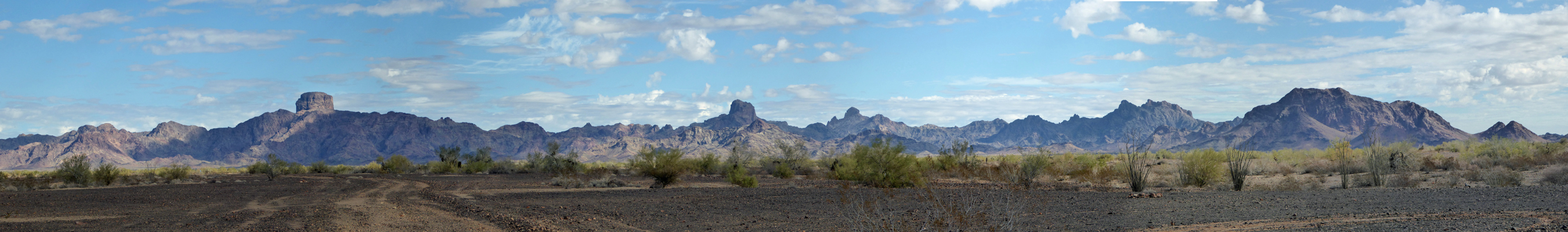 Castle Dome Mountains Kofa WLR