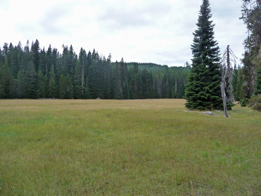 Peterson Prairie WA