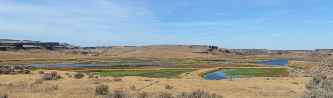 Marsh Unit 1 view Columbia Wildlife Refuge