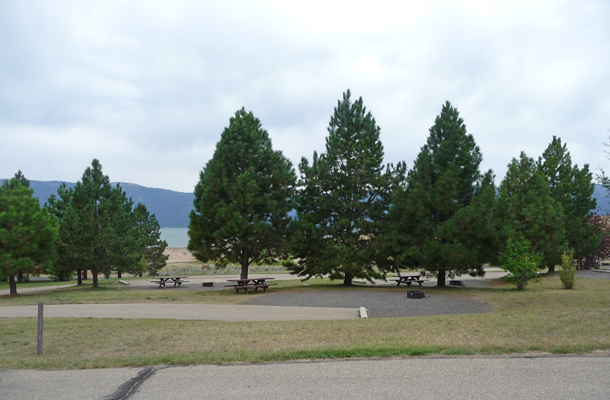 Sugarloaf Campground trees