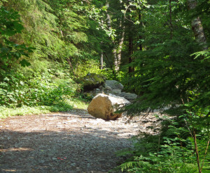 Boulder in trail just past uphill turnoff to Sunset Mine