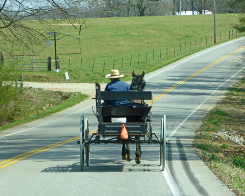 Amish buggy Tennessee