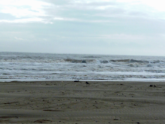 Surf matagorda beach