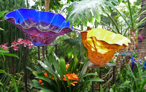 Blue and yellow glass bowls