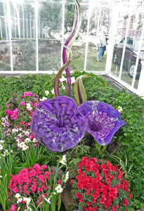 Purple Chihuly trumpets and spikes