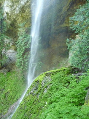 Waterfall on Goat Creek Trail