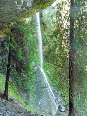 Behind Waterfall Goat Creek Trail
