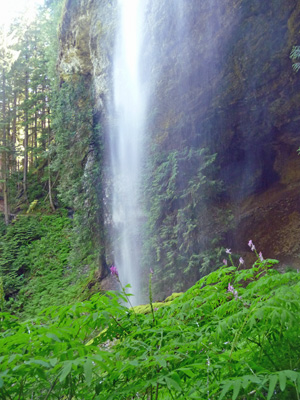 Scouler's Coyrdalis and waterfall