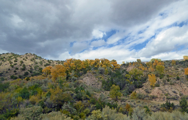 Fall color Low Rd Taos