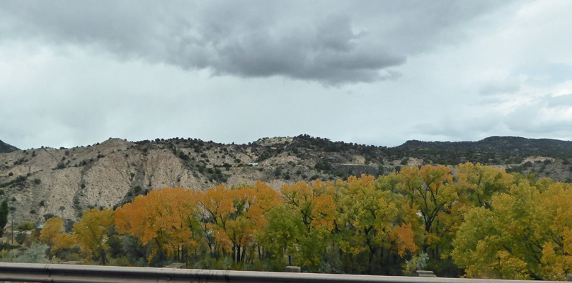 Fall color Rio Grande