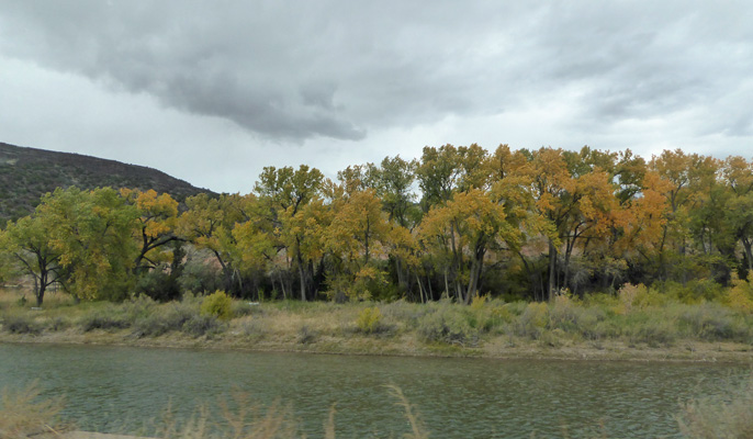 Fall color Rio Grande