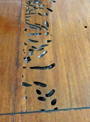 Shipworm holes Lester-Garland table