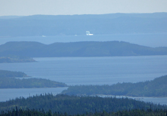 Icebergs in Bonavista Bay NL