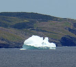 Iceberg Trinity Bay