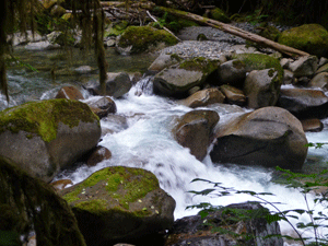 Closeup of cascade at Trout Creek NE of Index WA