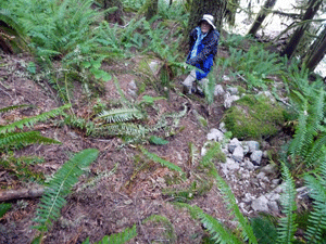 Walter Cooke bushwhacking uphill from Trout Creek NE of Index, WA