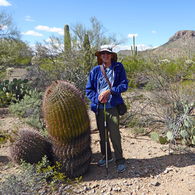 Walter Cooke large Compass Barrel Cactus