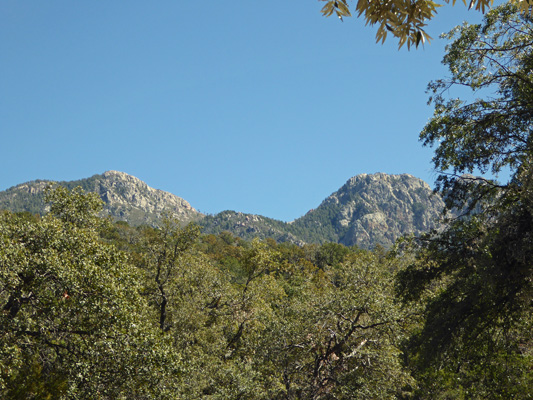 Amphitheater parking are Madera Canyon