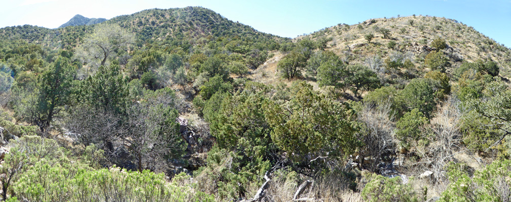 Madera Canyon Whitehouse Picnic area view