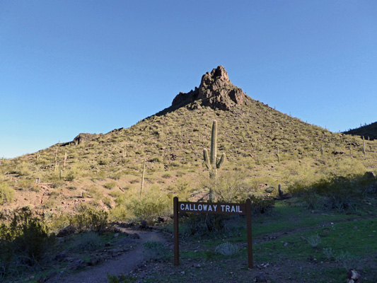 Calloway Trailhead Picacho Peak