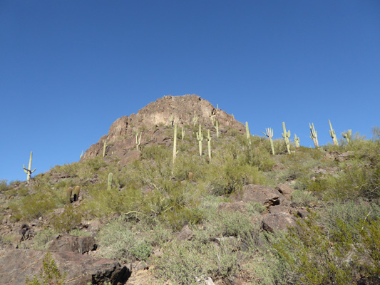 Calloway Trail view