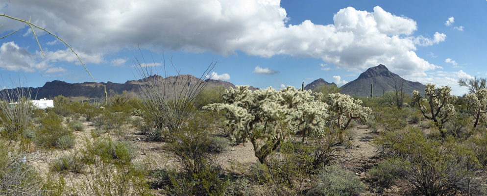 Gilbert Ray Campground view