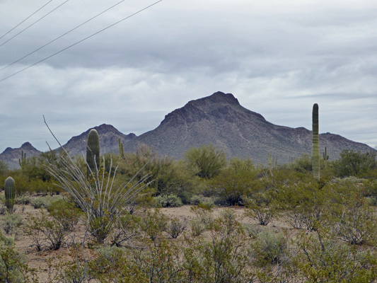 Mountain view Gilbert Ray campground Trail