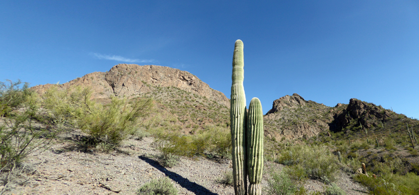 Sunset Vista Trail view Picacho PeaK Sp