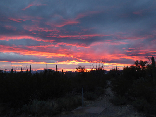 Sunset Gilbert Ray campground