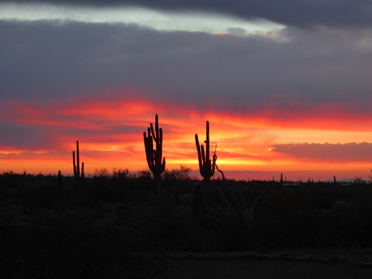 Sunset Picacho Peak SP