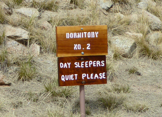 Day Sleepers sign Kitt Peak