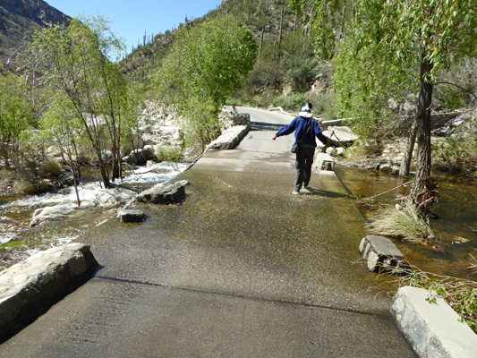 Walter Cooke crossing flooded bridge
