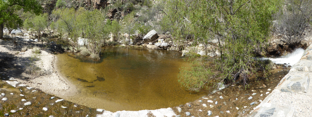 Sabino Canyon pool