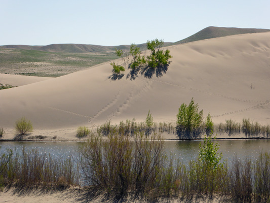 Bruneau Dunes SP