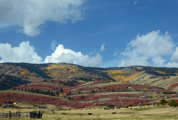 Hwy 89 fall color
