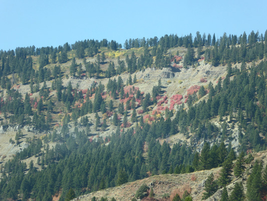 Hwy 89 fall color