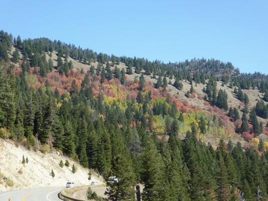 Hwy 89 fall color