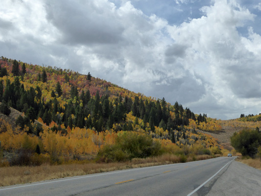Logan Canyon fall color