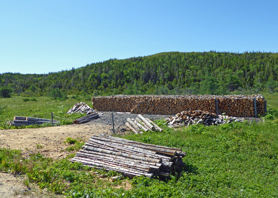 Newfoundland wood pile