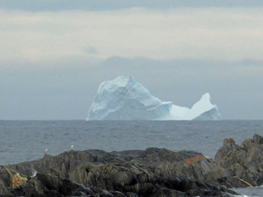 Iceberg shaped like whale