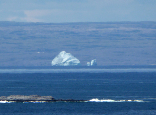 Iceberg seen from Burnt Cape NL