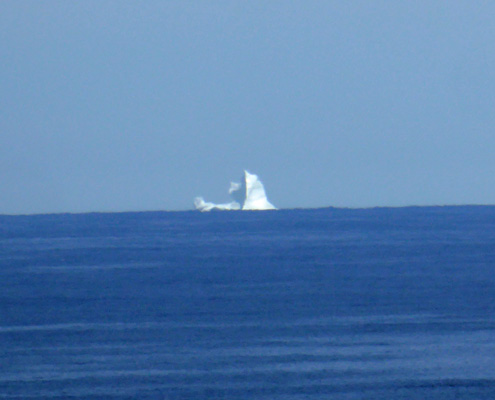Icebergs from Burnt Cape NL