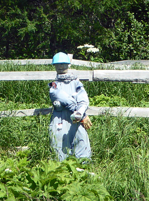 Newfoundland scarecrow