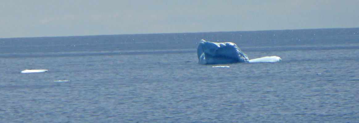 Fishing Point icebergs