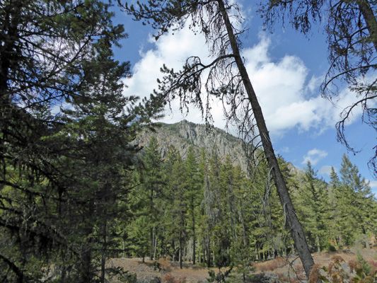 View from West Fork Wallowa River Trail