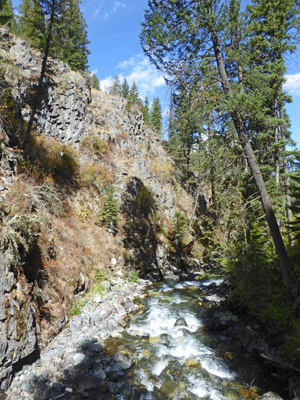 Down West Fork Wallowa River