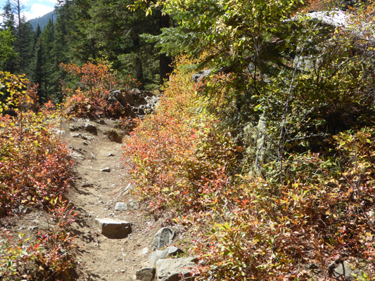 Fall color Chief Joseph Trail